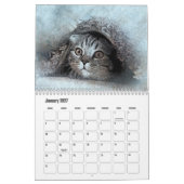 Abstrakte Katzenkunst Kalender (Jan 2027)