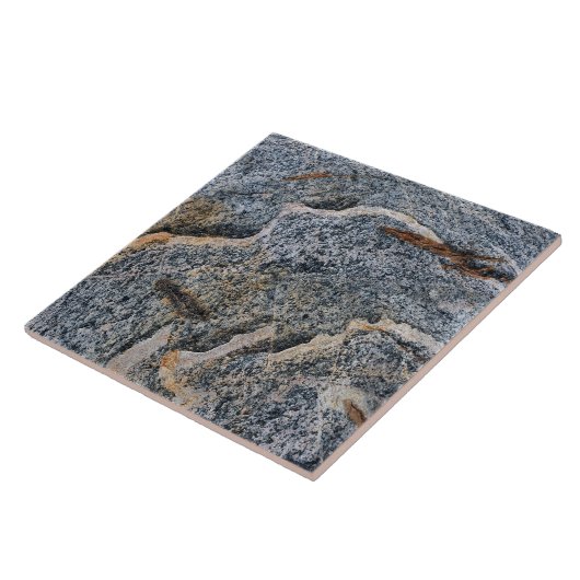 Abstrakte Keramik Tile Fliese (Seite)