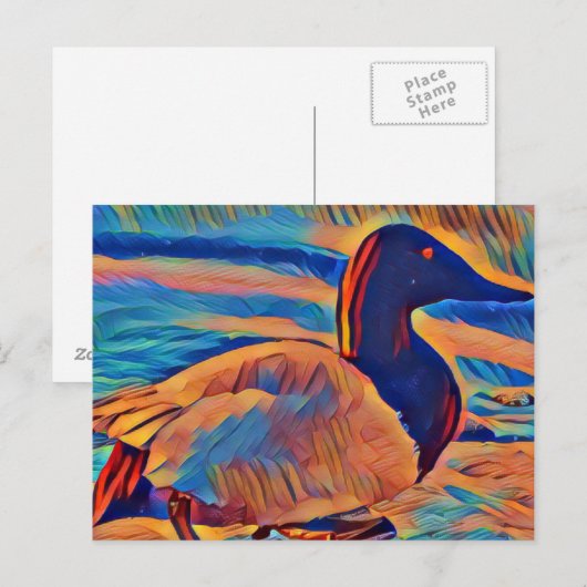 Abstrakte Kunst Canvasback Ente Postkarte (Vorne/Hinten)