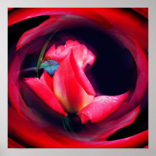 Abstrakte Kunst mit rosa Rosenknospe Poster