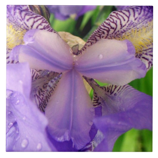 abstrakte lila Lilien-Blumen-Keramikfliese Fliese (Vorderseite)