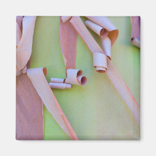 Abstrakte Madrona-Baumrinde Magnet