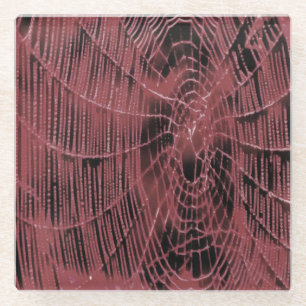 Abstrakte Malerei eines Magenta Pink Cobweb Glasuntersetzer