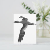 Abstrakte Meeresvögel Postkarte (Stehend Vorderseite)