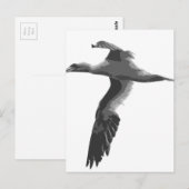 Abstrakte Meeresvögel Postkarte (Vorne/Hinten)