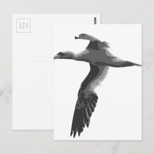 Abstrakte Meeresvögel Postkarte (Vorne/Hinten)