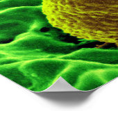 abstrakte Mikrobiologie Kunst kundenspezifische Po Poster (Ecke)