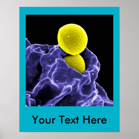 abstrakte Mikrobiologie Kunst kundenspezifische Po Poster (Vorne)