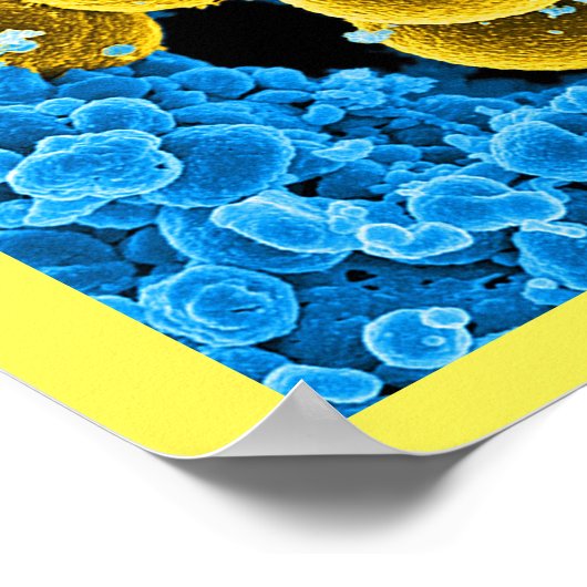 abstrakte Mikrobiologie Kunst kundenspezifische Po Poster (Ecke)