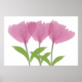 Abstrakte Minimalistische Wasserfarbe Peony Bouque Poster
