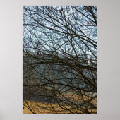 Abstrakte Natur Poster (Vorne)