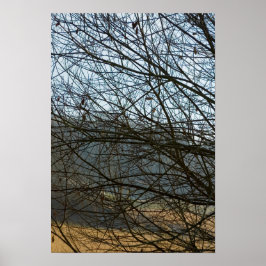 Abstrakte Natur Poster