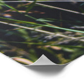 Abstrakte Naturwandkunst – Moderne Landschaft Poster (Ecke)