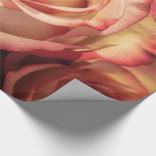 Abstrakte Peach Colour Rose Garten Geschenkpapier (Ecke)