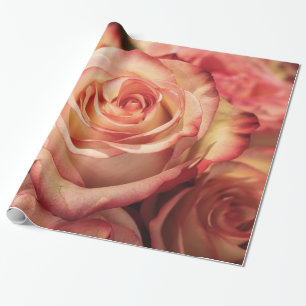 Abstrakte Peach Colour Rose Garten Geschenkpapier