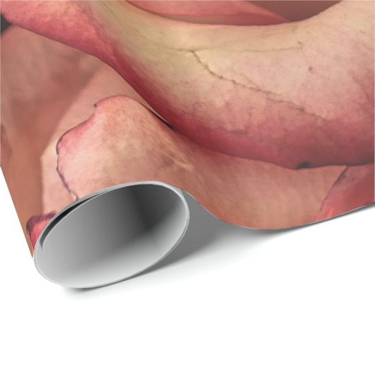 Abstrakte Peach Colour Rose Garten Geschenkpapier (Rolleneckpunkt)