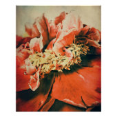 Abstrakte Pfingstrose Poster (Vorderseite)