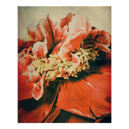 Abstrakte Pfingstrose Poster