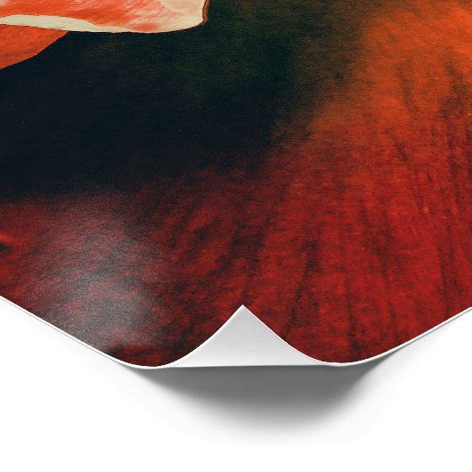 Abstrakte Pfingstrose Poster (Ecke)