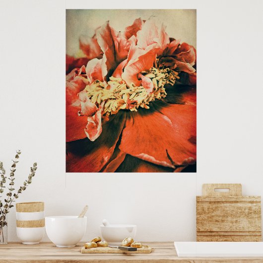 Abstrakte Pfingstrose Poster (Küche)