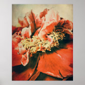 Abstrakte Pfingstrose Poster (Vorne)