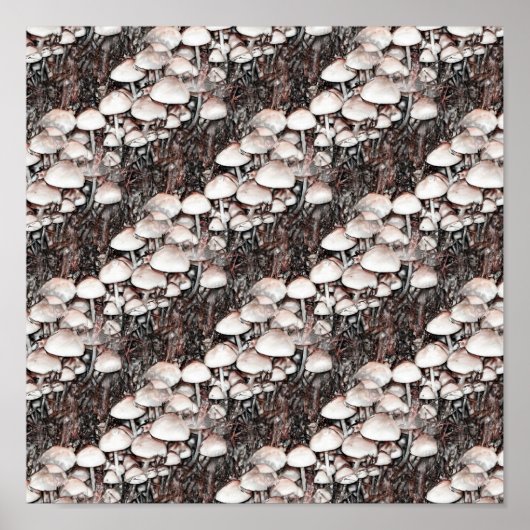 Abstrakte Pilze aus der Natur Poster (Vorne)