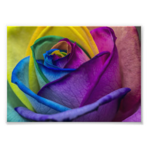 Abstrakte Regenbogen-Rose Fotodruck