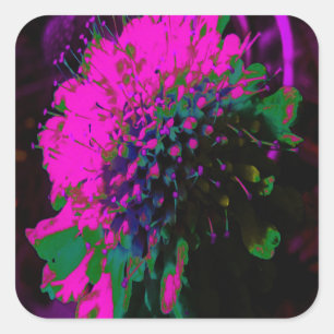 Abstrakte Retro-Blume in Rosa und Schwarz Quadratischer Aufkleber