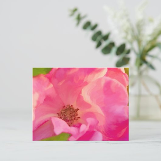 Abstrakte Rosa Knockout-Rose Postkarte (Stehend Vorderseite)