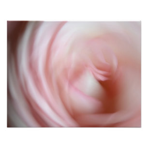 Abstrakte rosa Rose Fotodruck