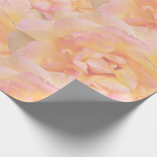 Abstrakte Rose-Design in weichem Pfirsichrosa Geschenkpapier (Ecke)