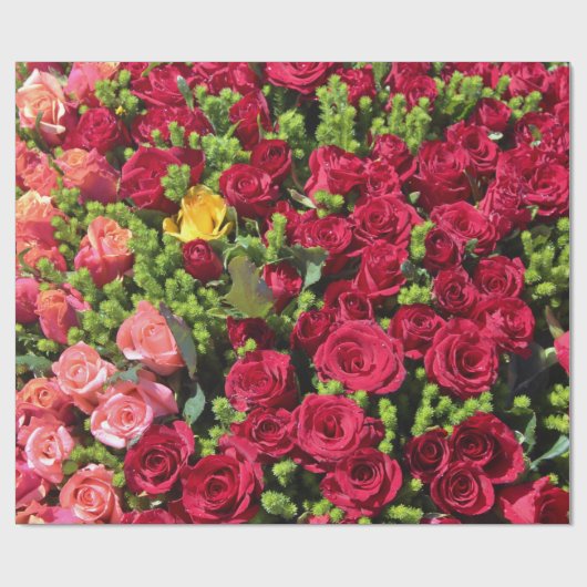 Abstrakte Rose Gartenanlage Parco Civico-Ciani Geschenkpapier (Flach)