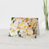 Abstrakte Rose nachmittags Karte (Vorderseite)