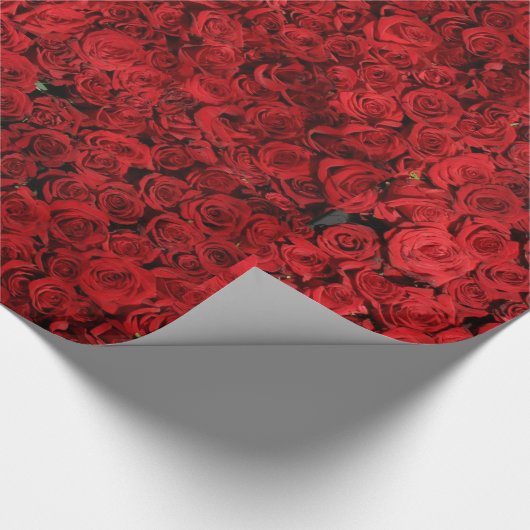 Abstrakte Rote Rosen Garten Elegante Geschenkpapier (Ecke)
