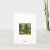 Abstrakte Rustikale Nordkiefer Karte (Rückseite)