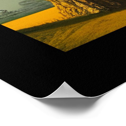 Abstrakte Rustikale Nordkiefer Poster (Ecke)