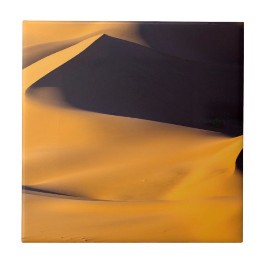 Abstrakte Sanddüne Fliese (Vorderseite)