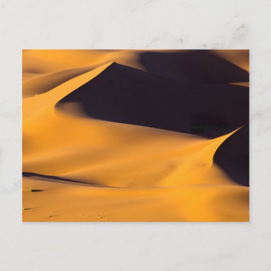 Abstrakte Sanddüne Postkarte (Vorderseite)