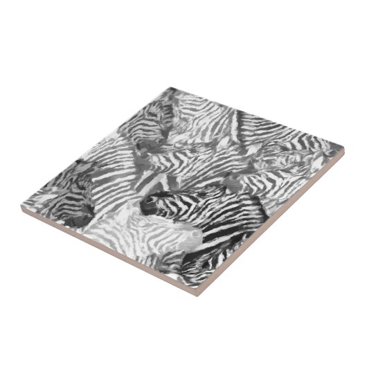 Abstrakte Schwarz-Weiß-Zebra Fliese (Seite)
