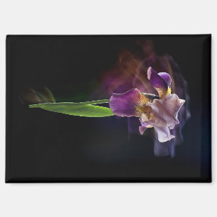 Abstrakte Schwertlilie – Elegante Blumenkunst Magnet