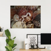 Abstrakte Seashells Sand Dollar Poster (Heimbüro)
