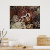 Abstrakte Seashells Sand Dollar Poster (Küche)
