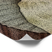 Abstrakte Seashells Sand Dollar Poster (Ecke)