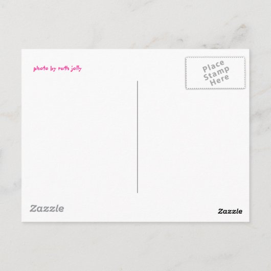 Abstrakte Sommerpostkarte Postkarte (Rückseite)