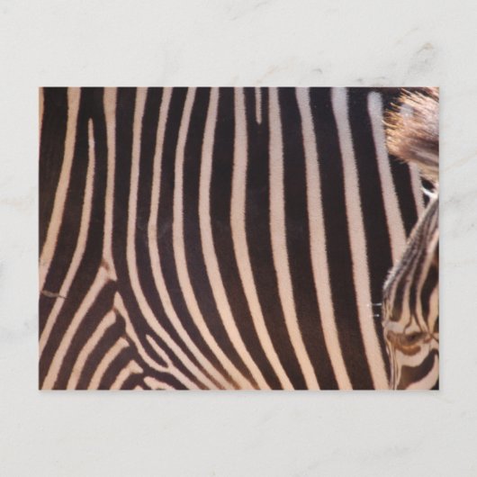 Abstrakte Streifen Postkarte (Vorderseite)