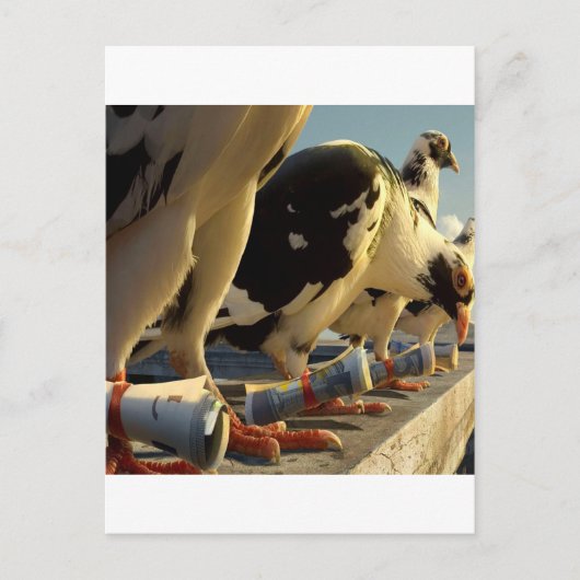 Abstrakte Taubenmeldung Postkarte (Vorderseite)