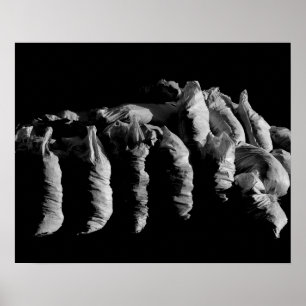 Abstrakte Textur Schwarz-weiße Säcke Kunstaufnahme Poster