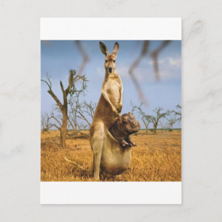 Abstrakte Tiere Kangaroo Kinderschock Postkarte