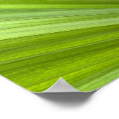 Abstrakte Tropenpalmenfront Poster (Ecke)