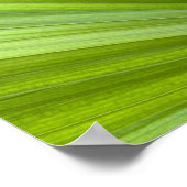Abstrakte Tropenpalmenfront Poster (Ecke)